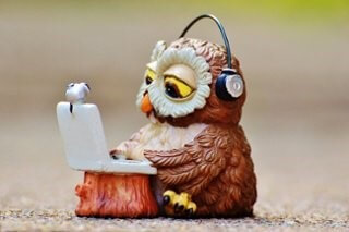 owl-947734_960_720.jpg