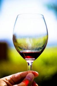 The Best Wines in the Hudson Valley