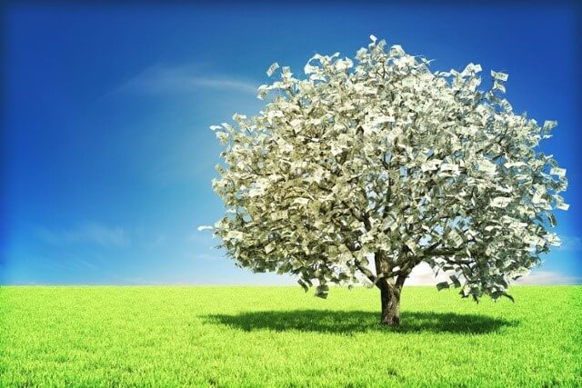 money tree.jpg