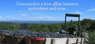 glorie_farm